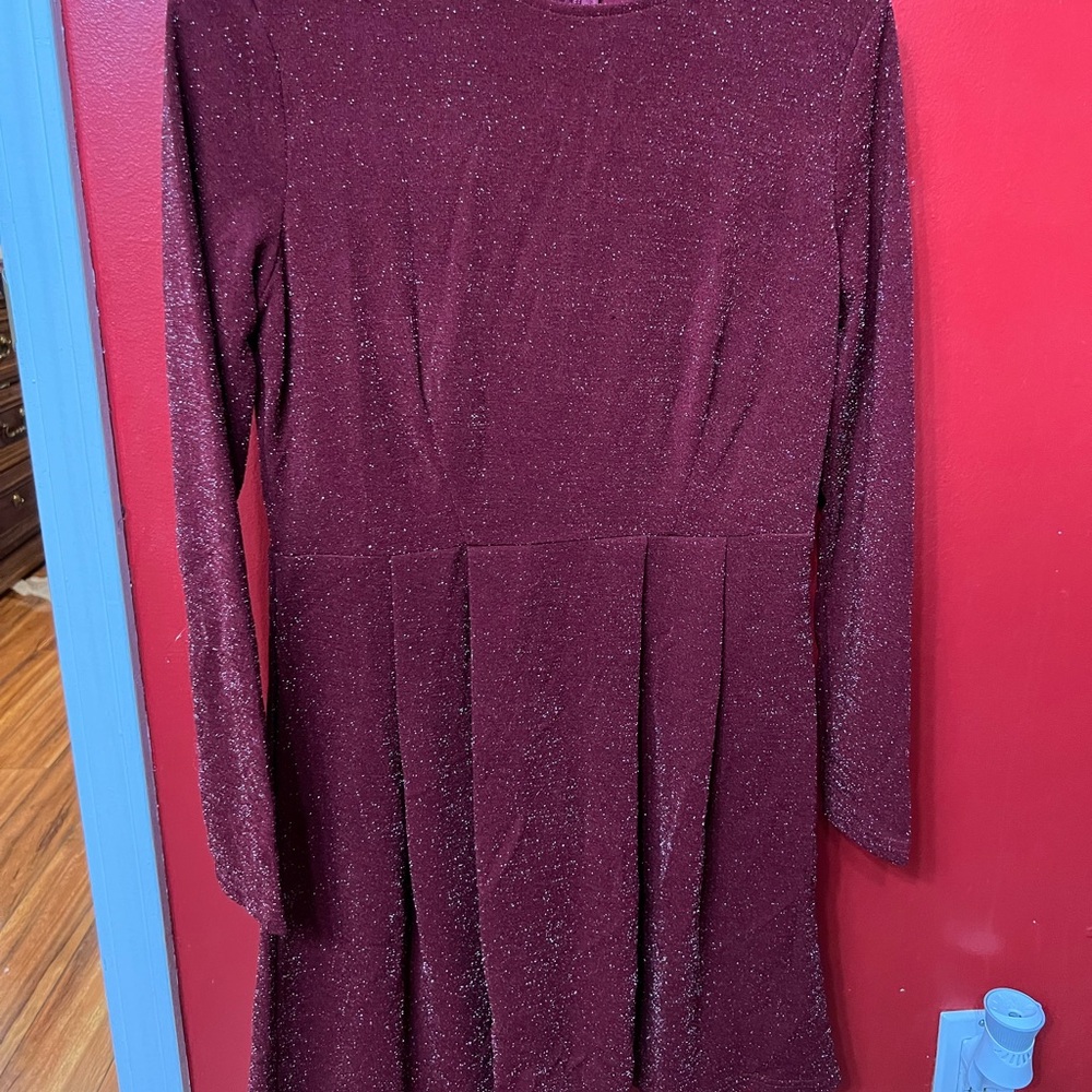 Long Sleeve Dress with Sparkles